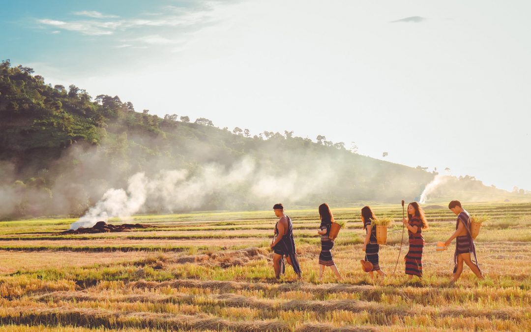 Life in the tribe, the origins of social anxiety